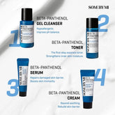 Some By Mi Beta Panthenol Repair Starter Kit